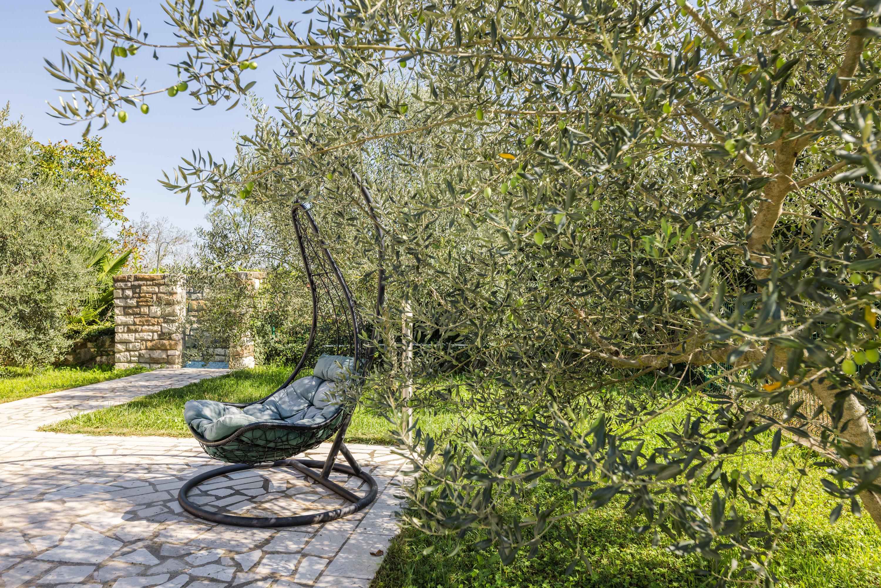 Swing lounger under olive tree shade